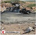 israel,terrorist (5)